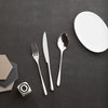 Image of SERVIZIO POSATE " TASTE " DI SAMBONET ACCIAIO INOX 18/10 PER 6 PERSONE 24 PEZZI