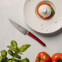 BERKEL -  LINEA COLOR COLTELLI DA TAVOLA E DA BISTECCA MANICO ROSSO