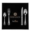 Image of Rosenthal VERSACE - Linea STAINLESS STEEL - Posate