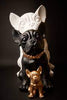 Image of Blogo Design - BULLDOG COLLECTION Ruggiero BLACK & WHITE