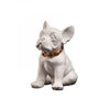 Image of Blogo Design - BULLDOG COLLECTION Ruggiero BLACK & WHITE